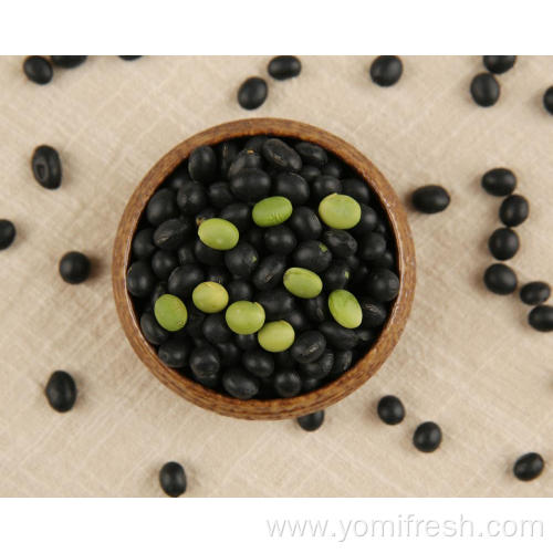 Healthiest Beans For Weight Loss
